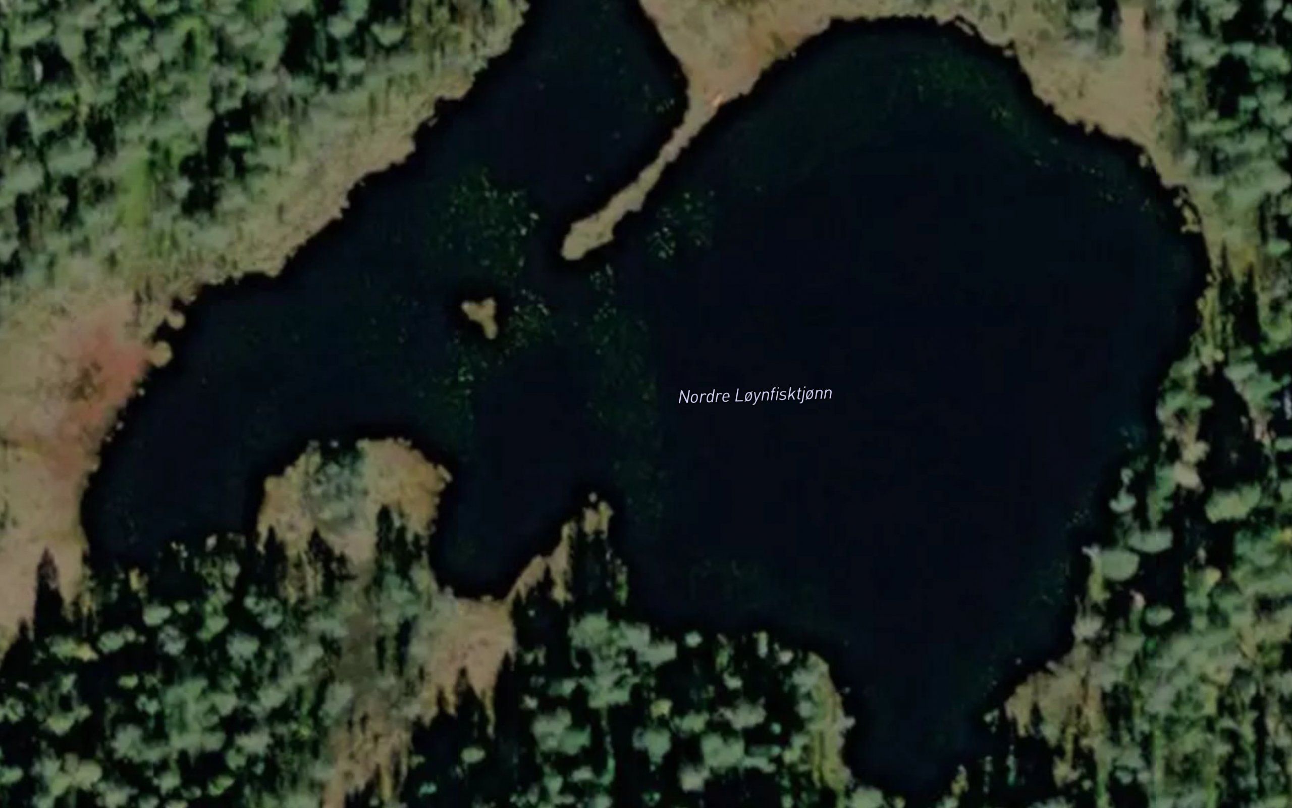 Nordre Loynfisktjonn
