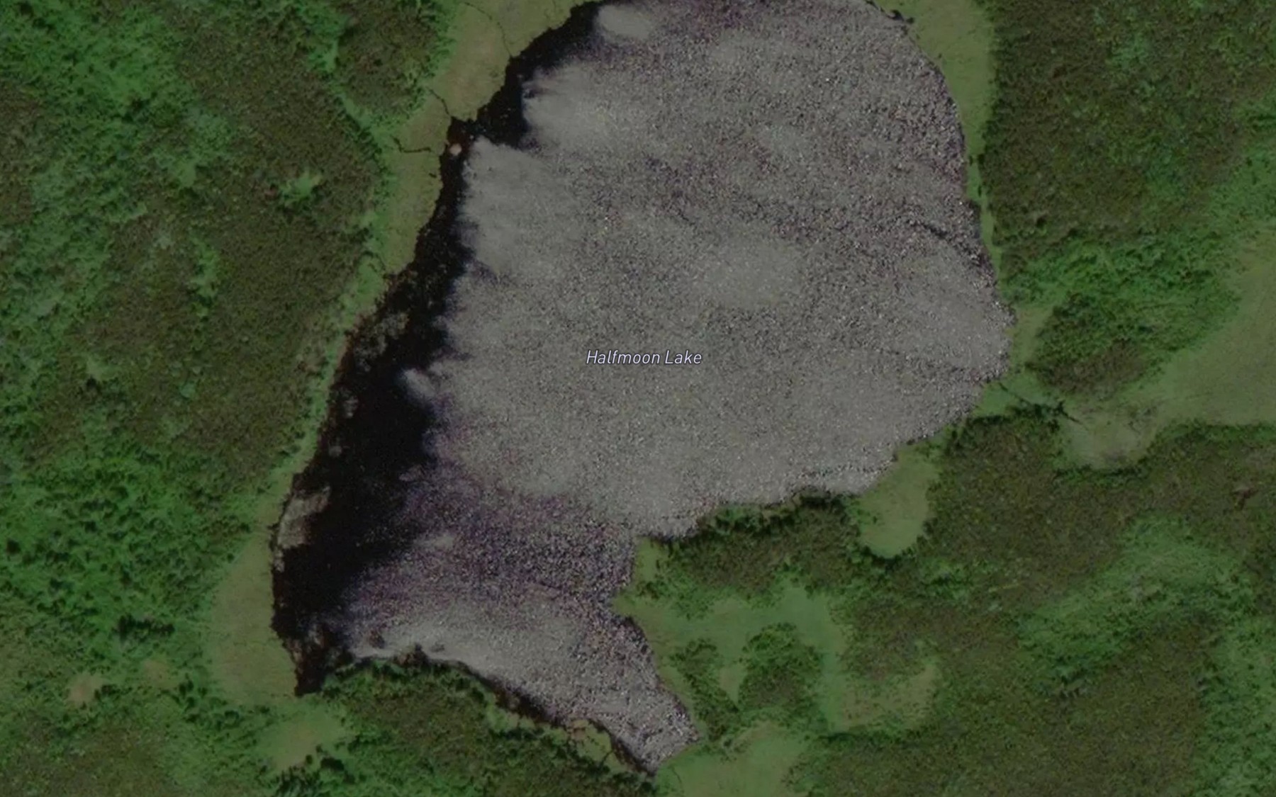 Satellite map of the Halfmoon Lake