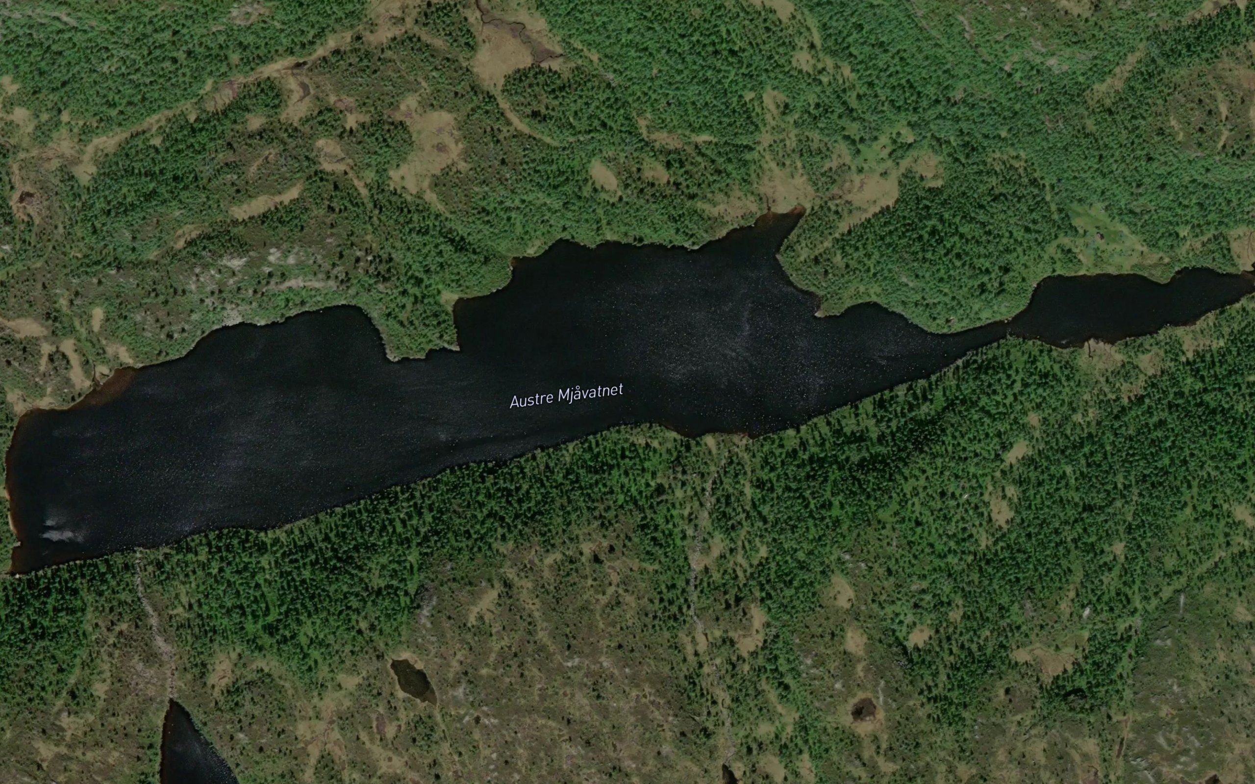 Mjavatnet,austre