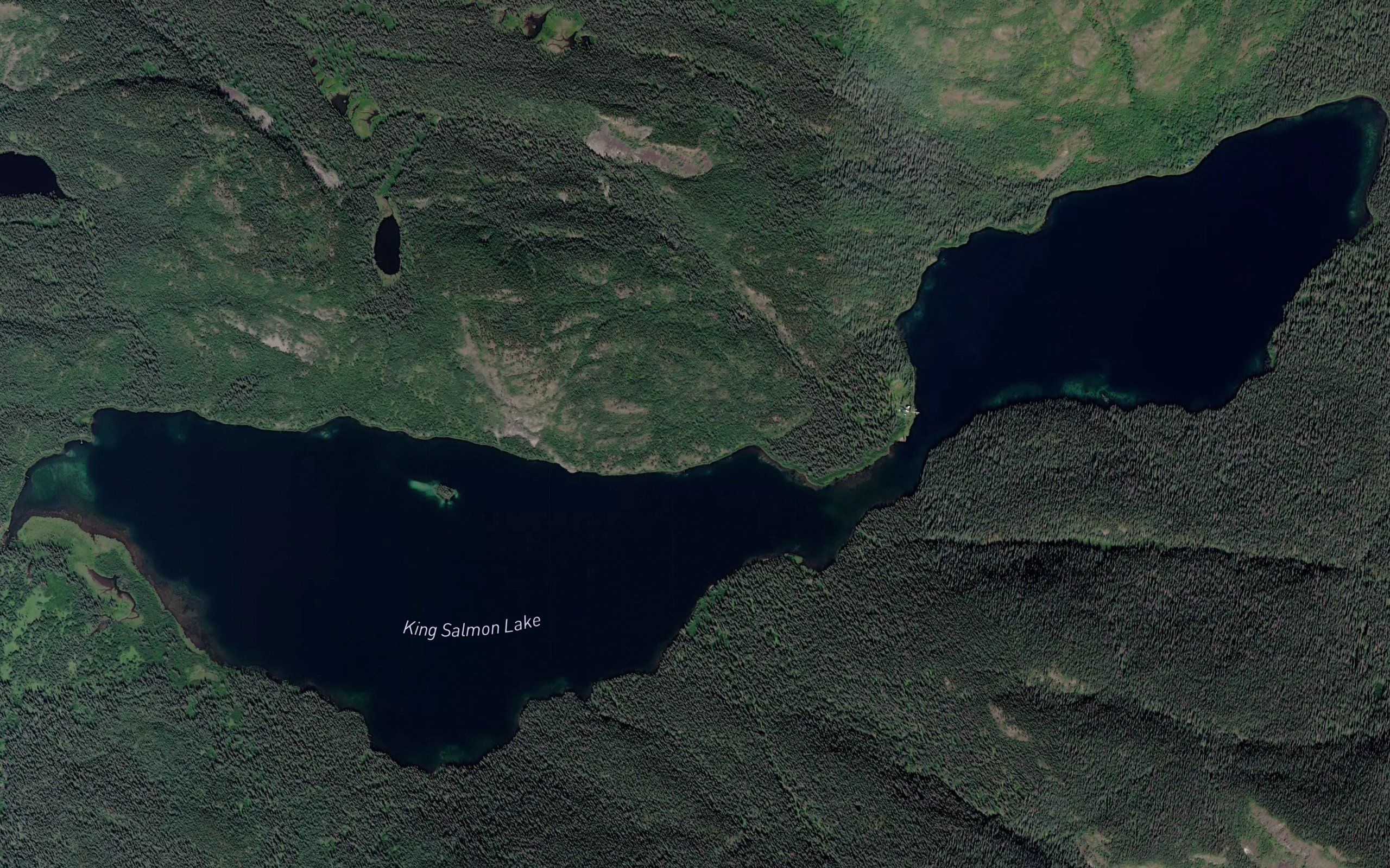 King Salmon Lake