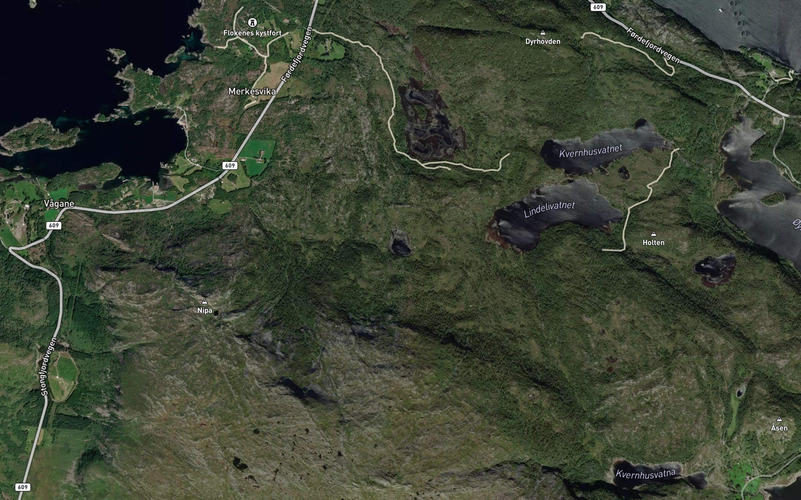 Naerviktjerna