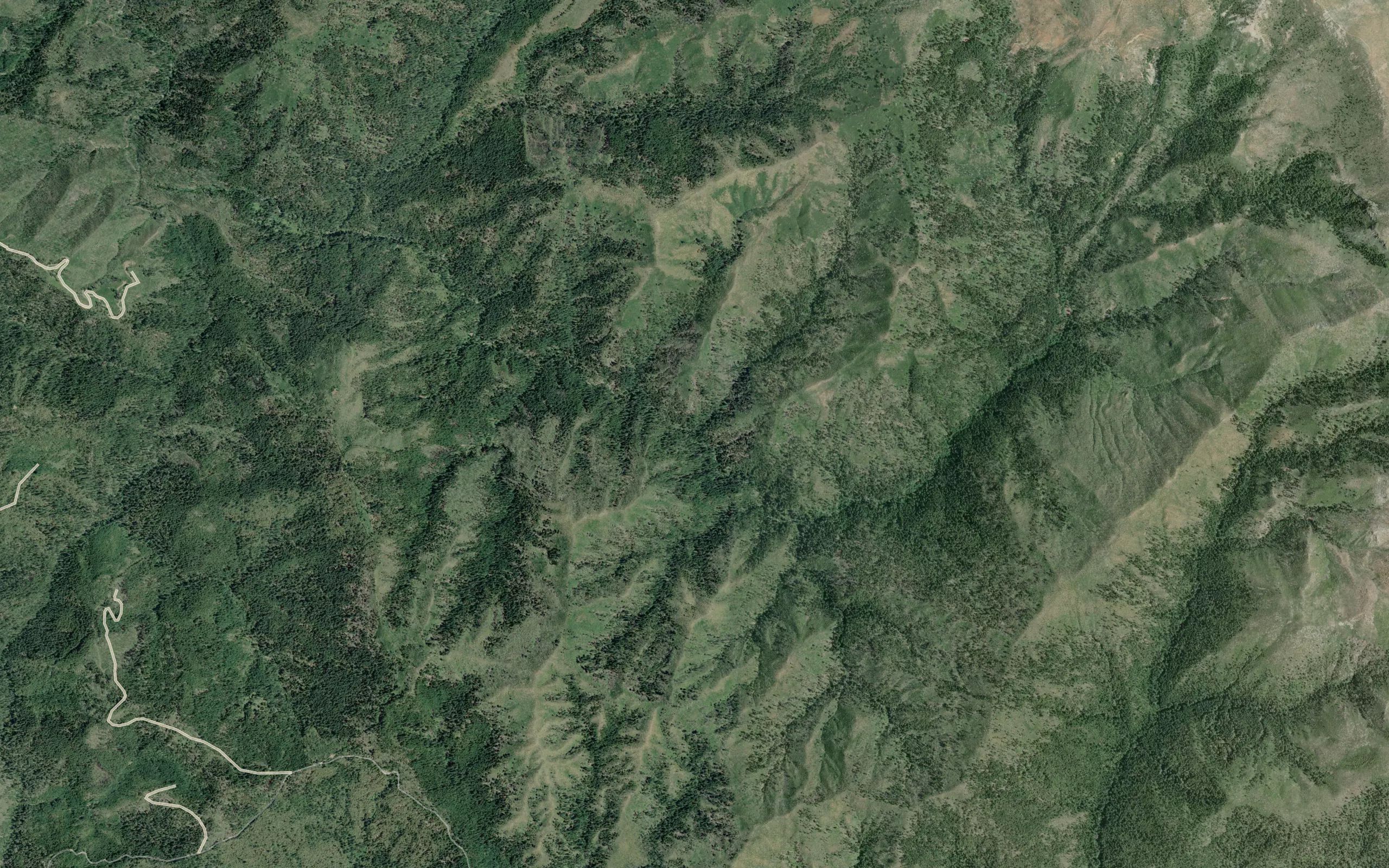 Coon Creek