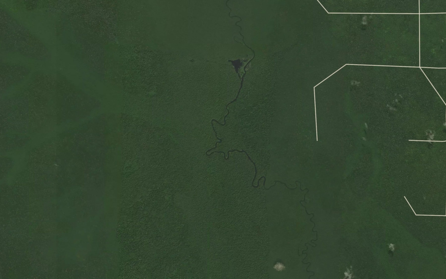 Satellite map of the Ebomo