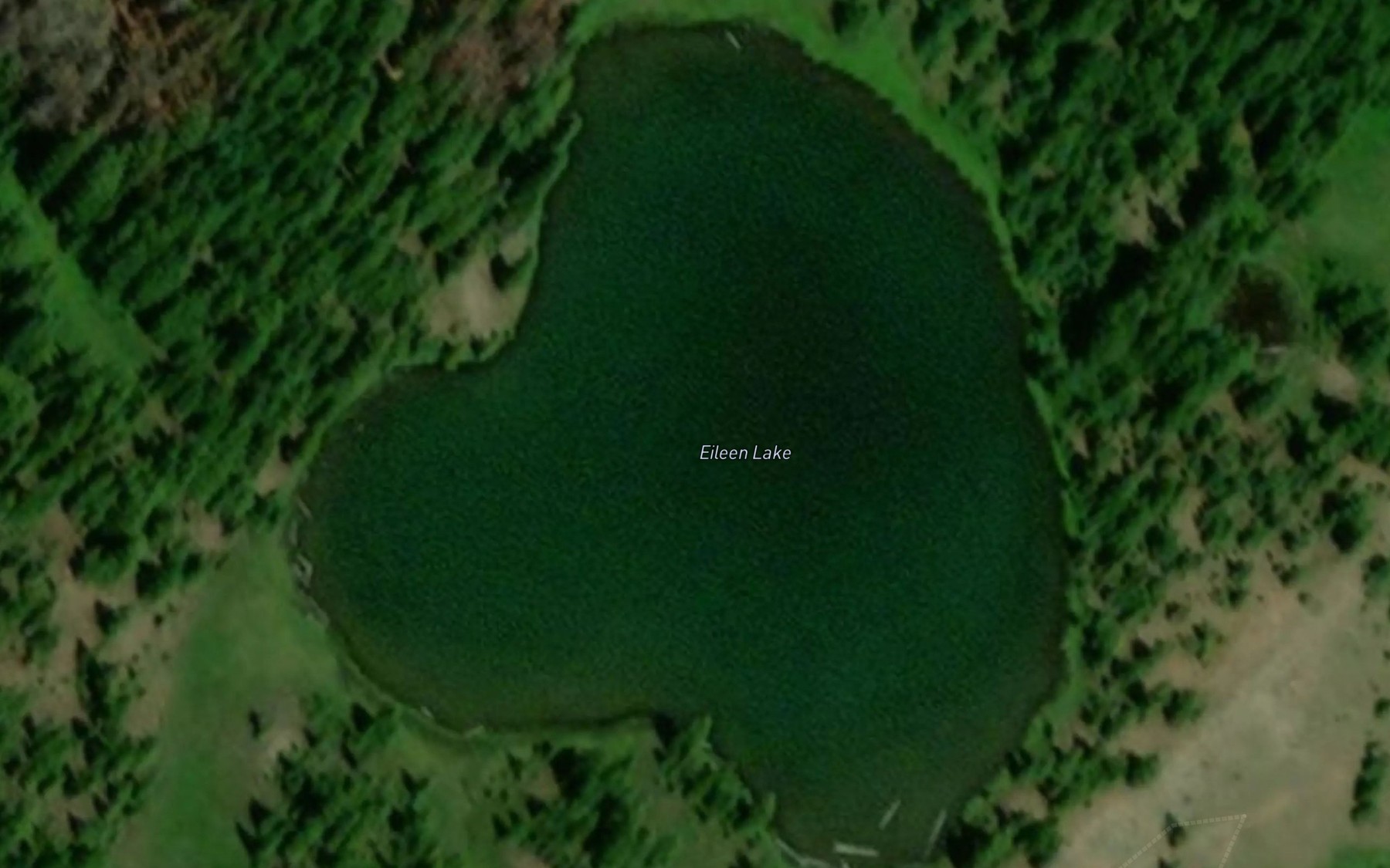 Satellite map of the Eileen Lake
