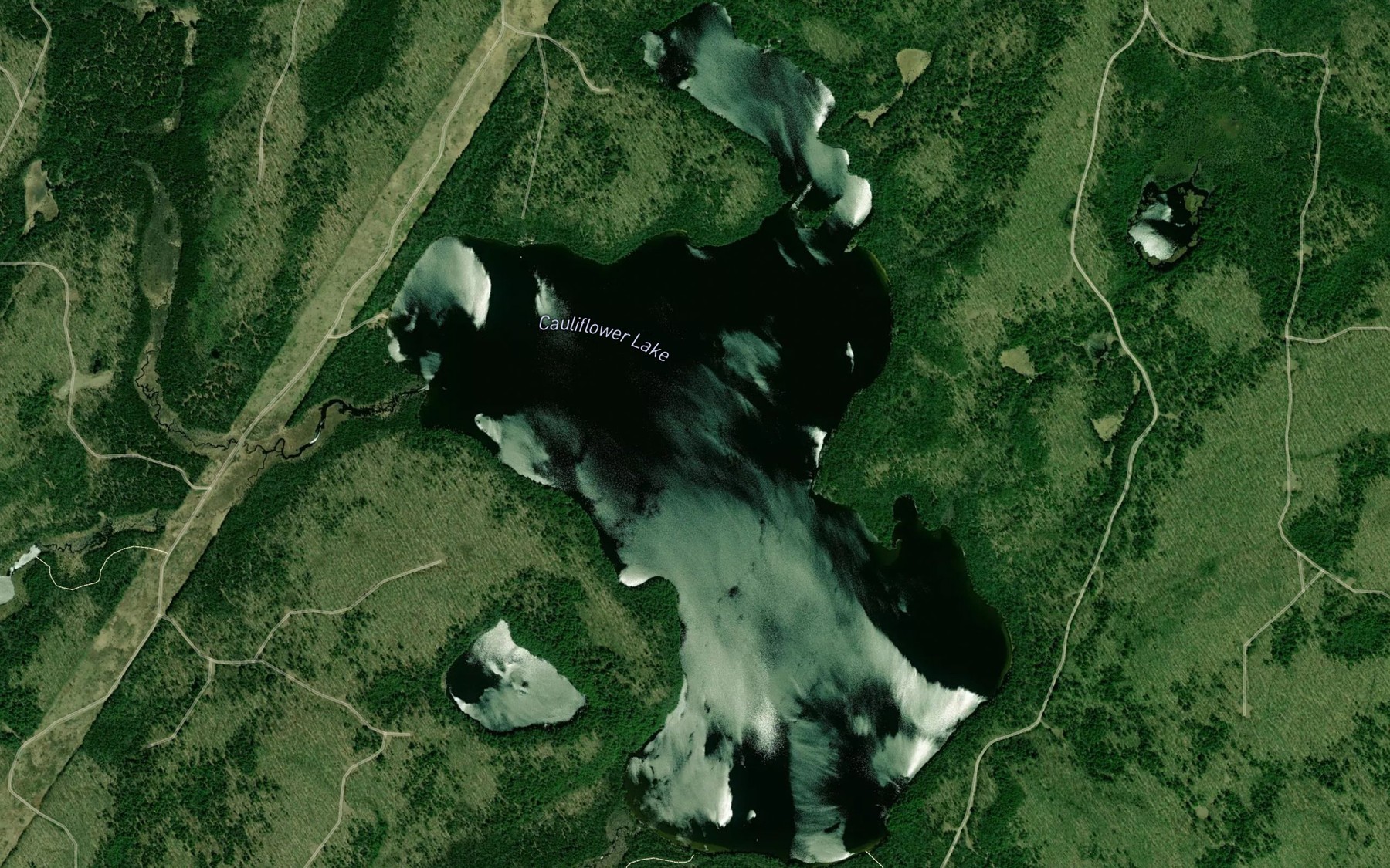 Satellite map of the Cauliflower Lake