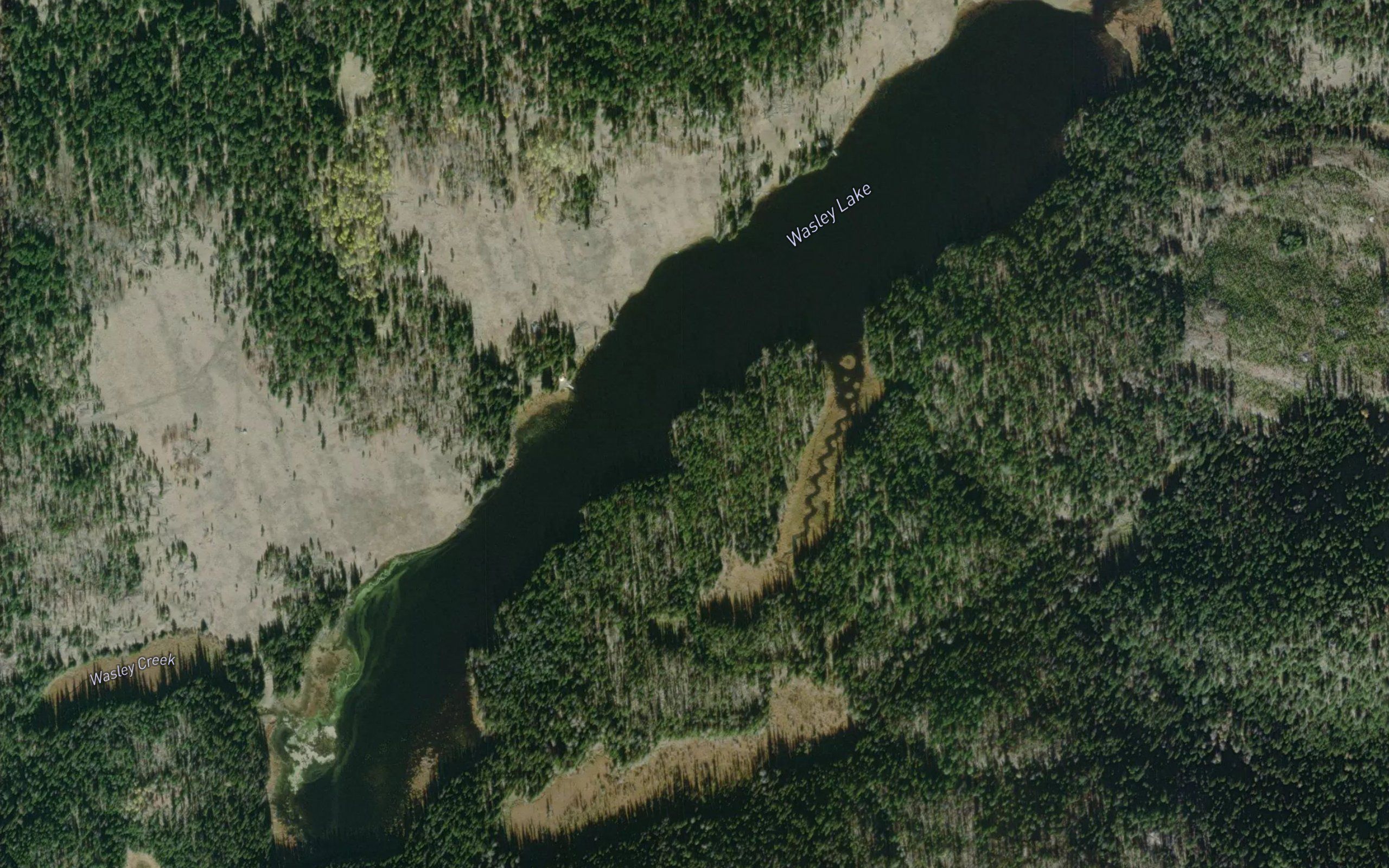 Wasley Lake