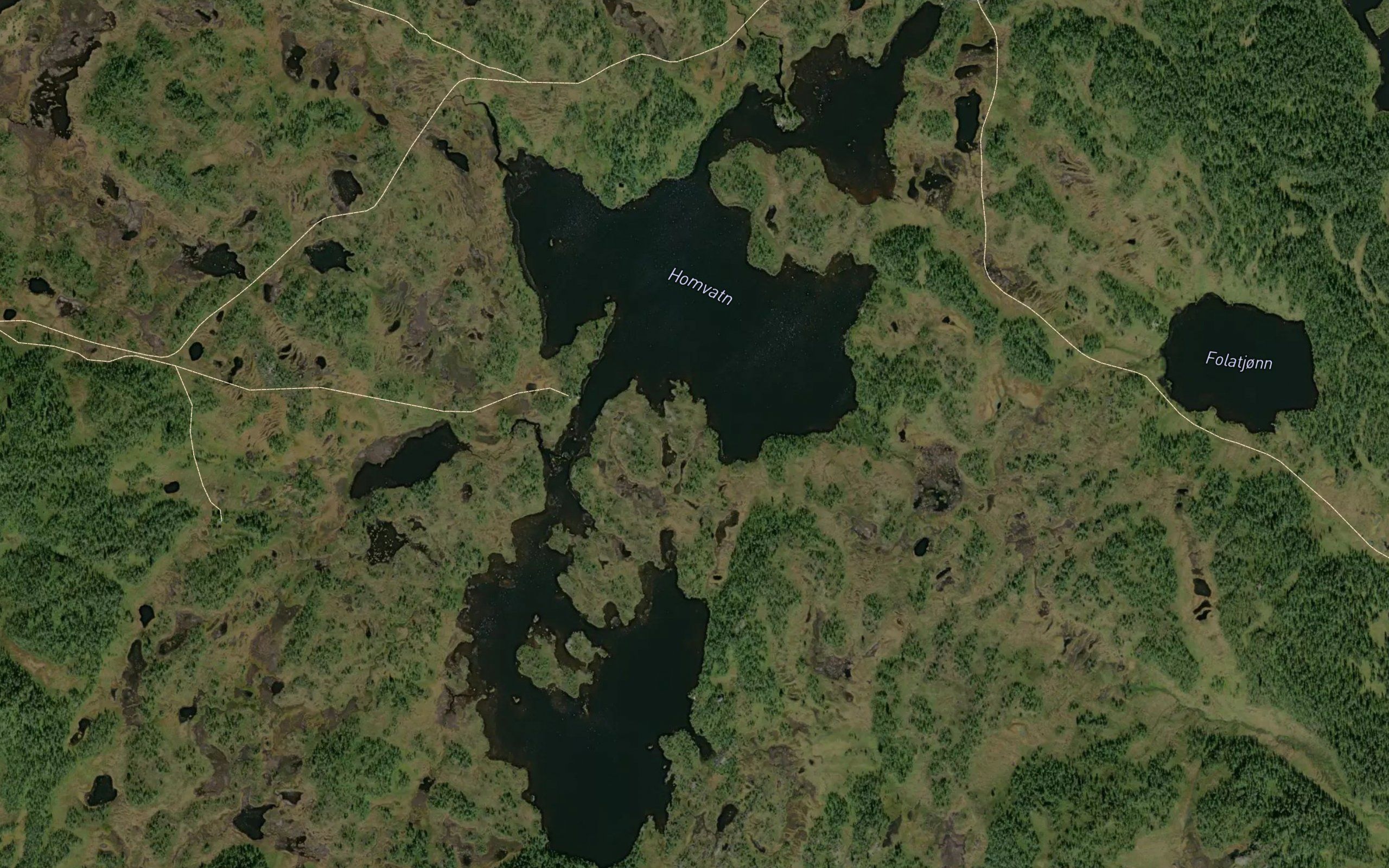 Homvatn