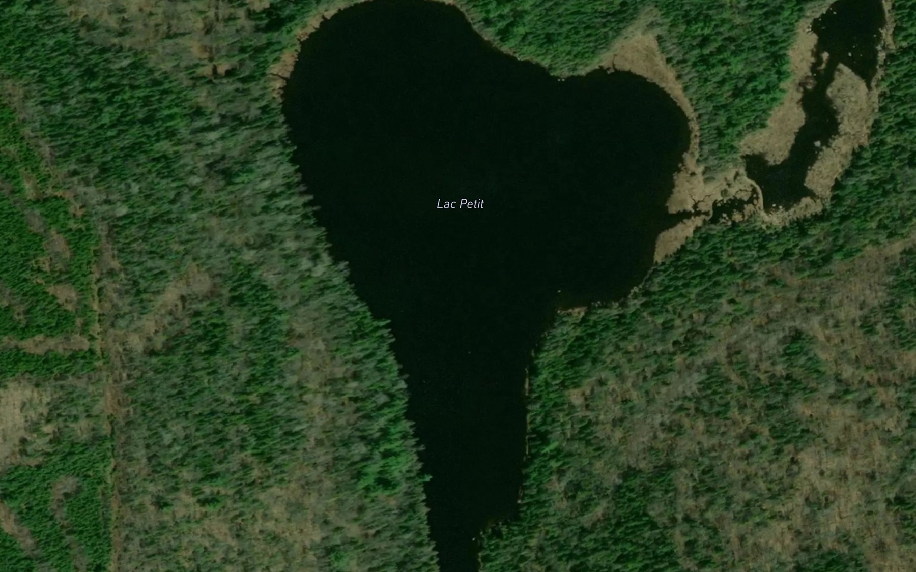 Satellite map of the Lac Petit