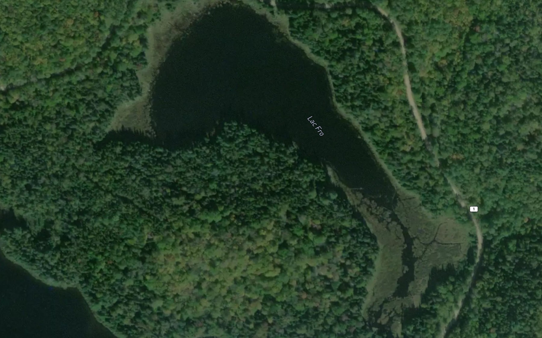 Satellite map of the Lac Fro