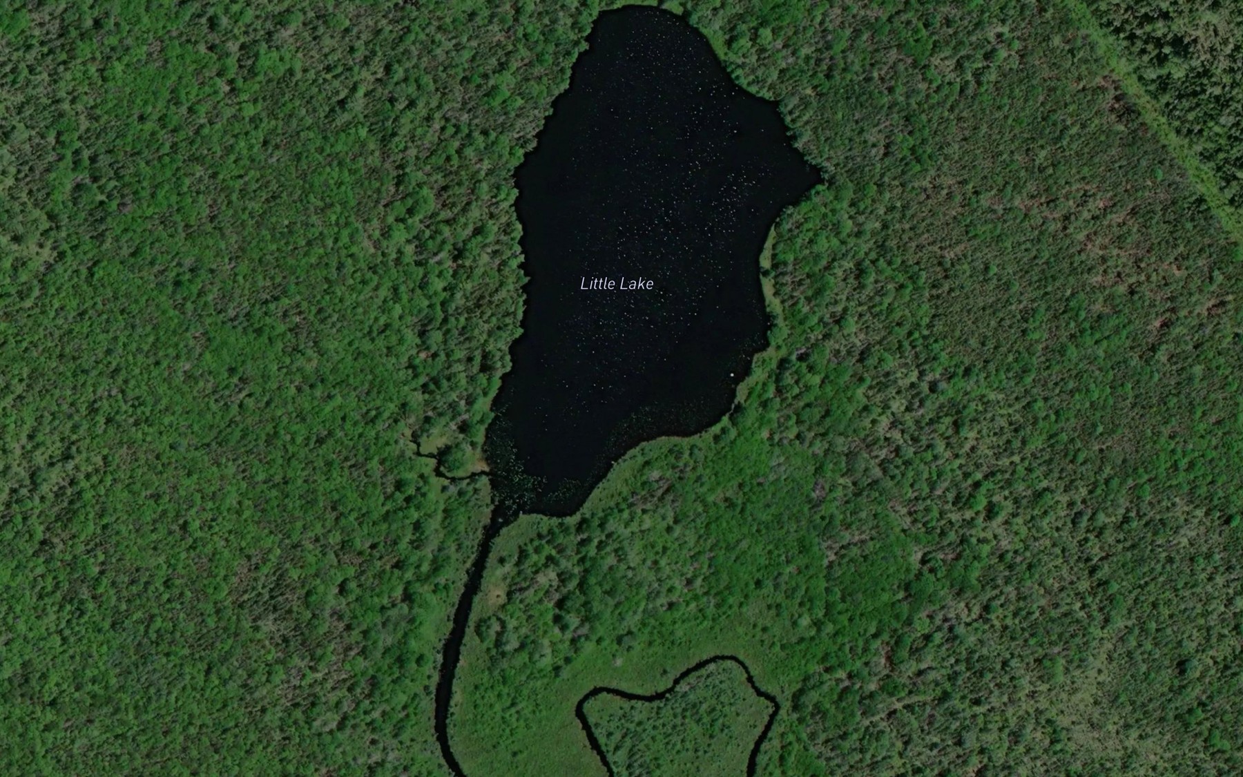Satellite map of the Little Lake