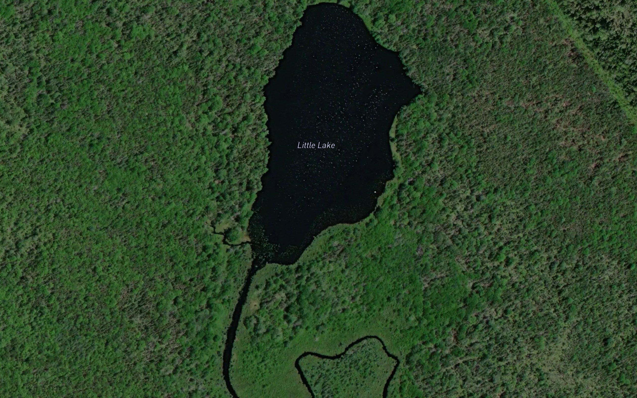 Little Lake