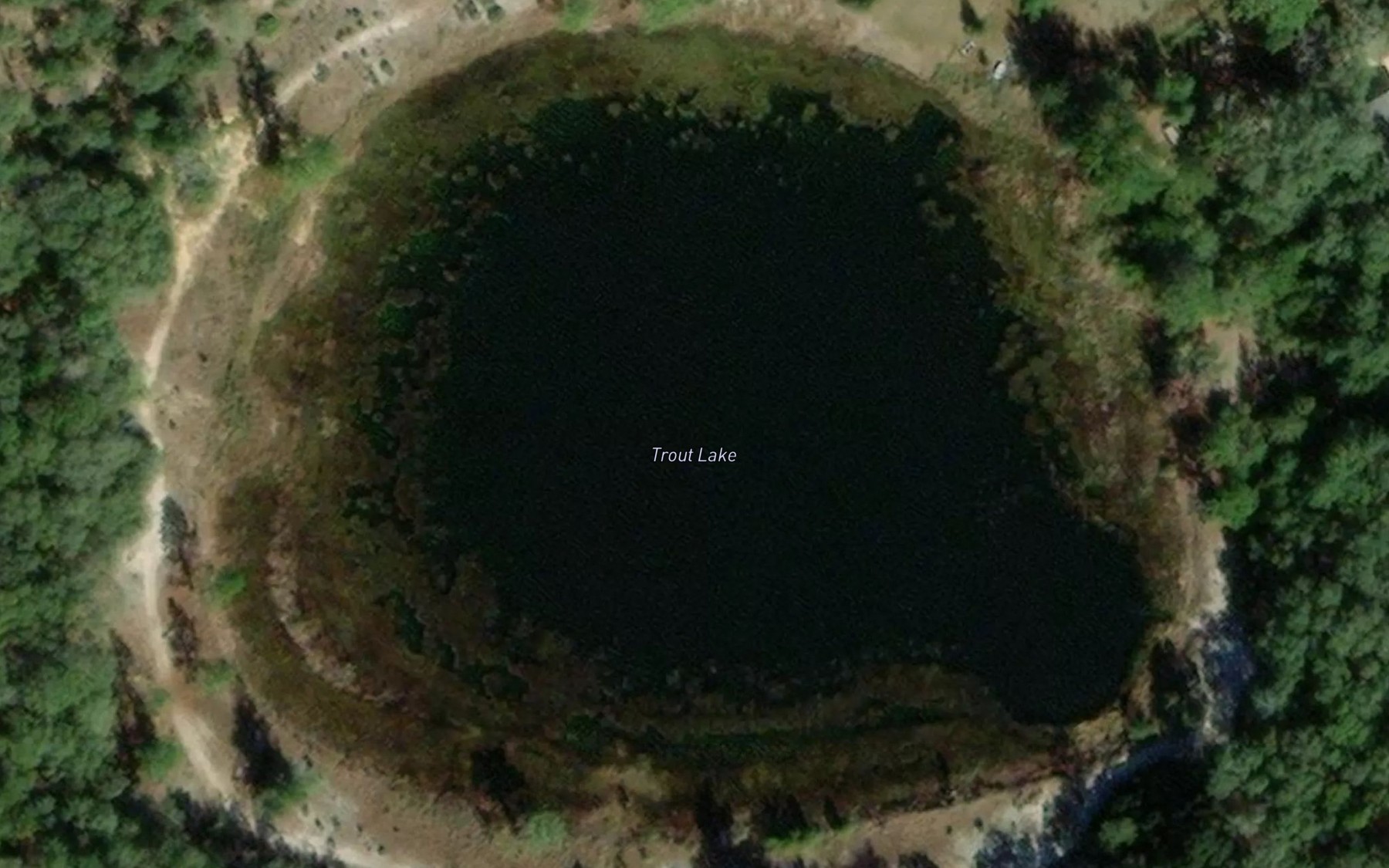 Satellite map of the Trout Lake
