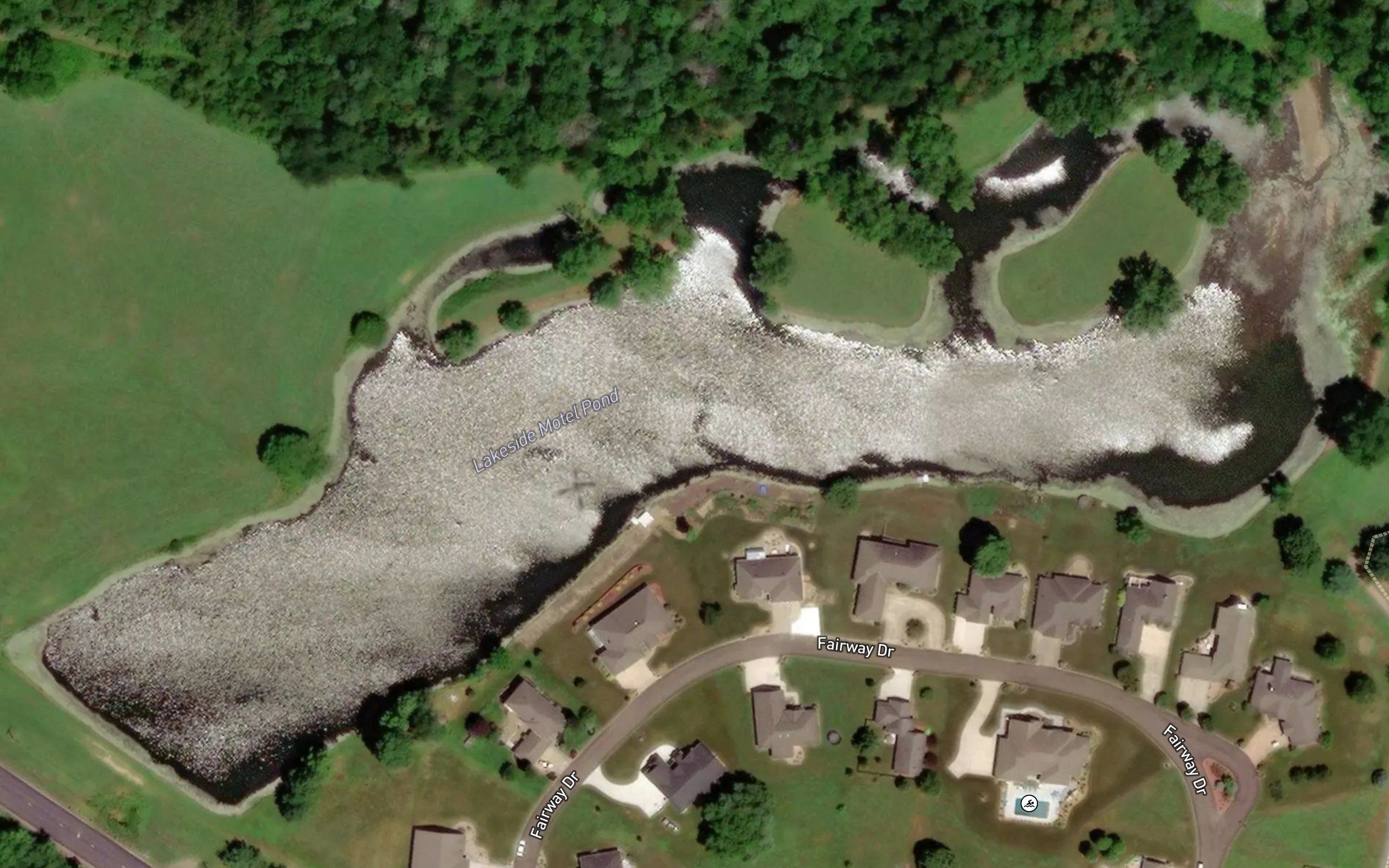 Lakeside Motel Pond