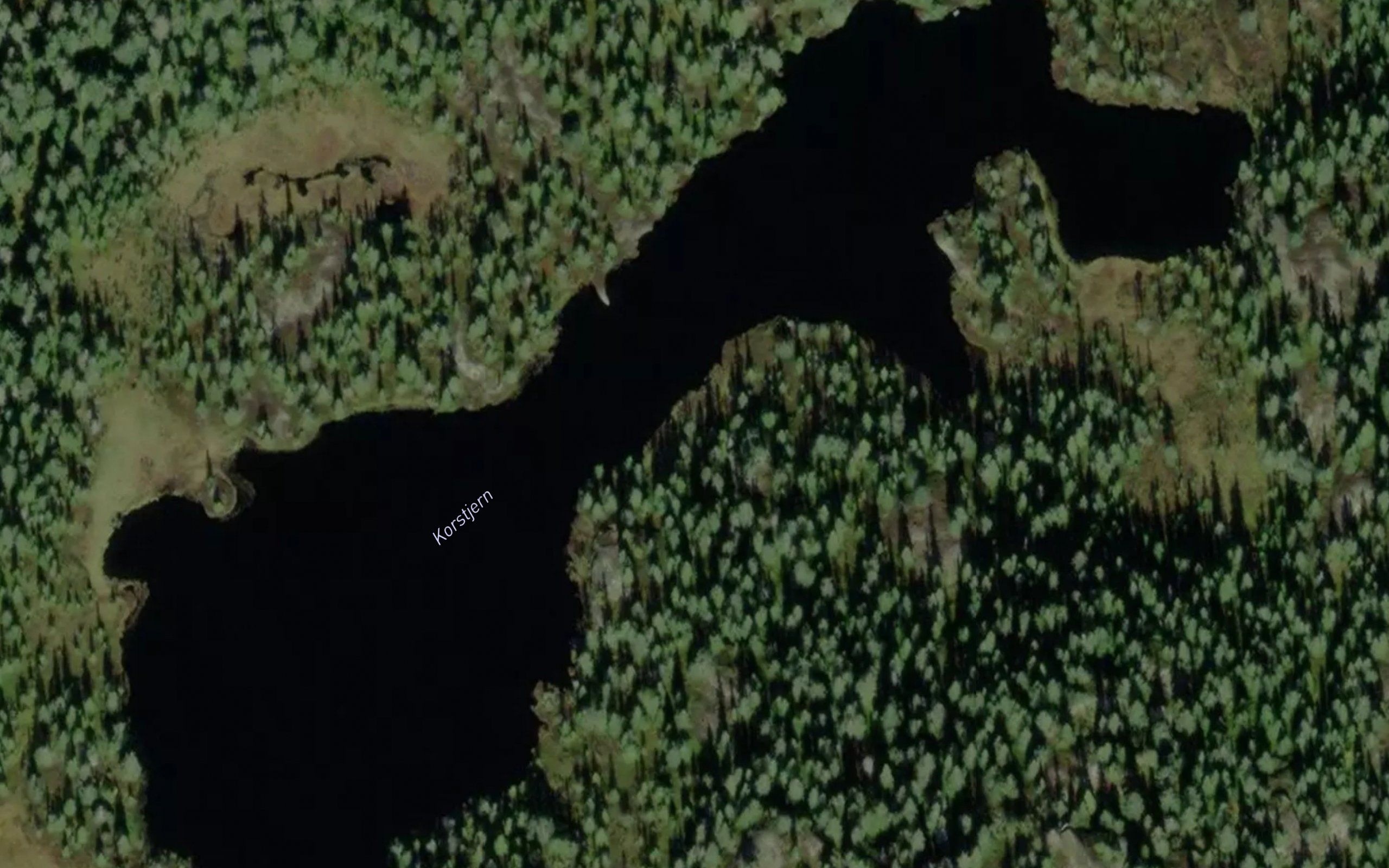 Korstjern