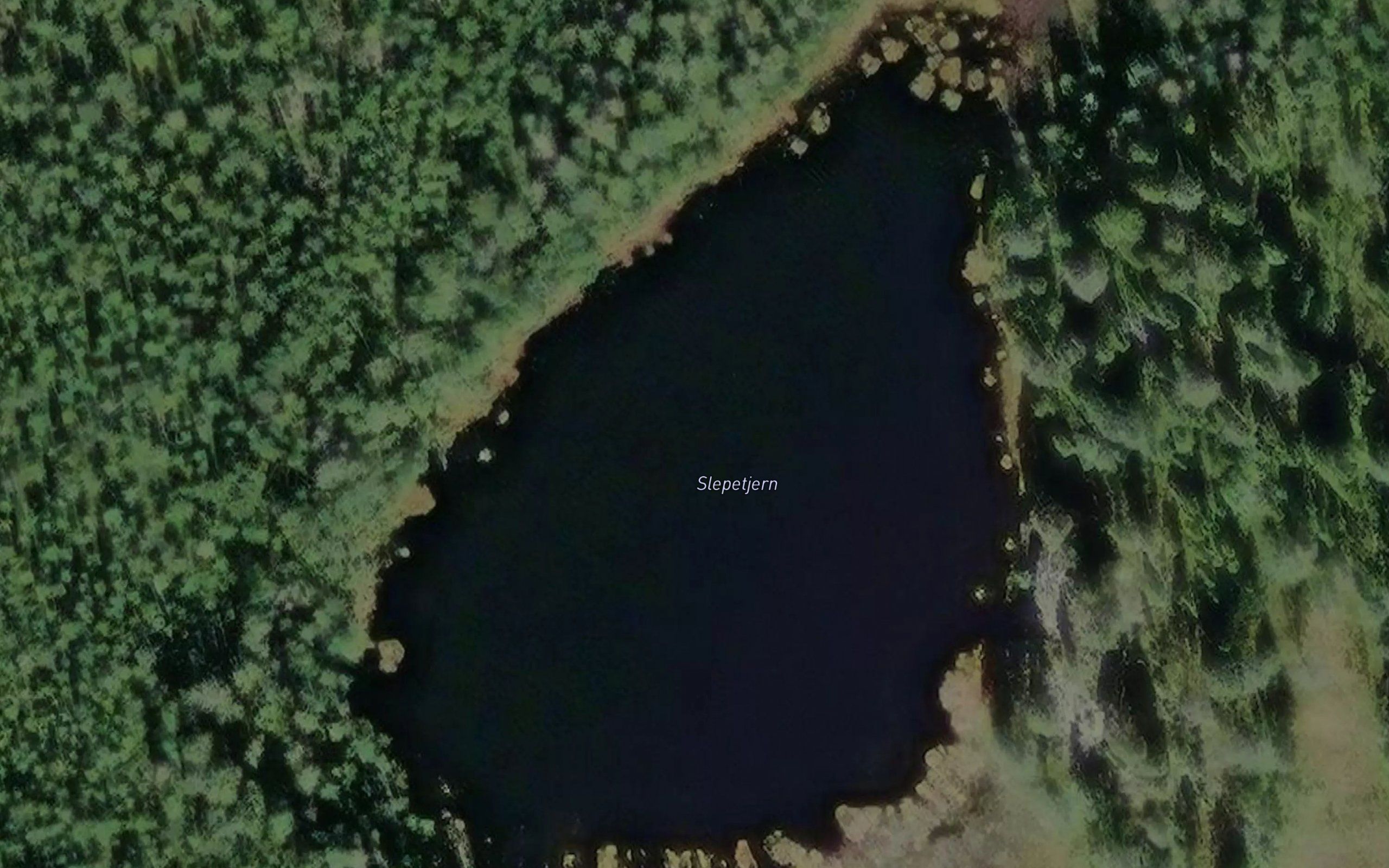 Slepetjern