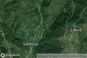 Seonica