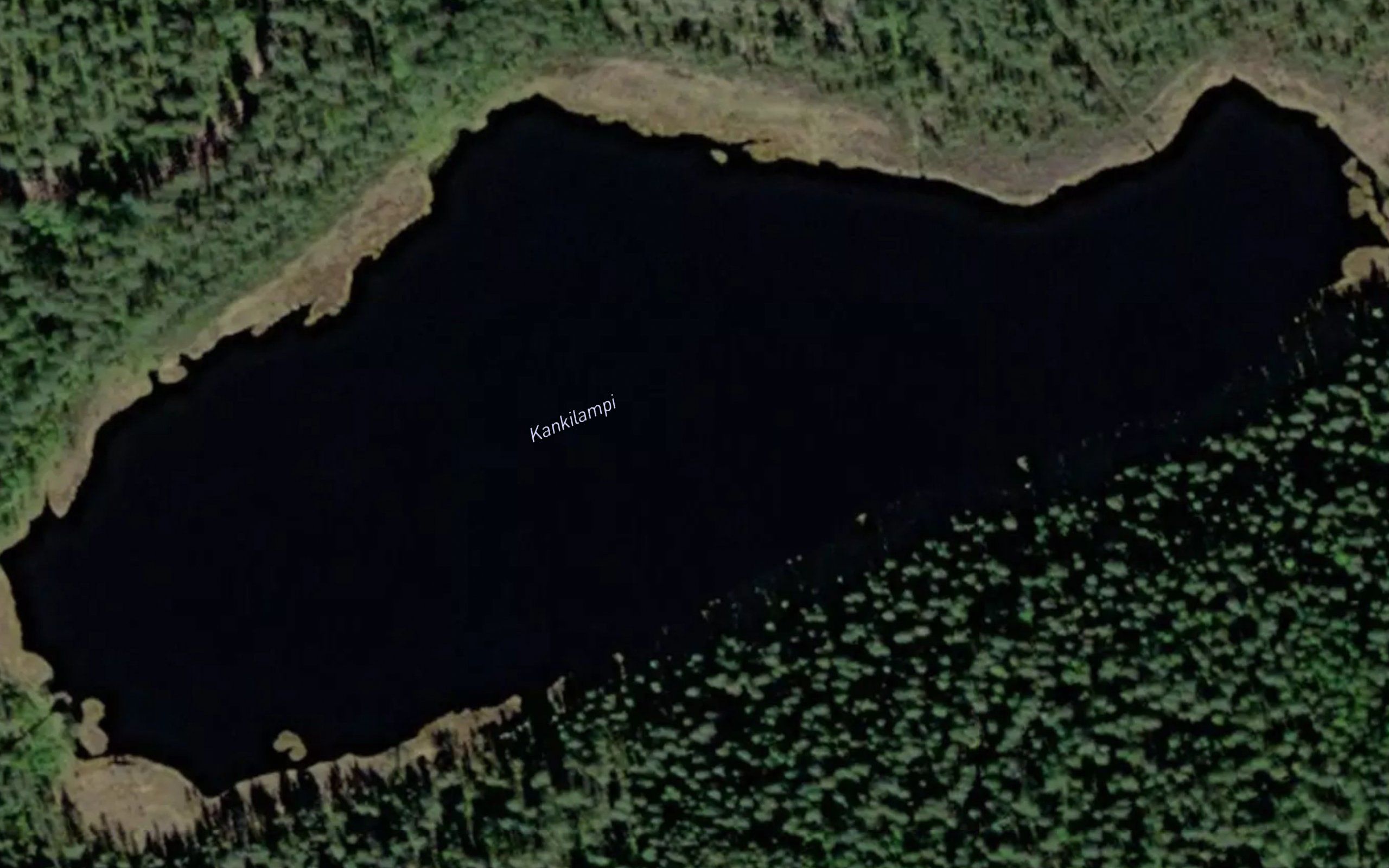 Kankilampi