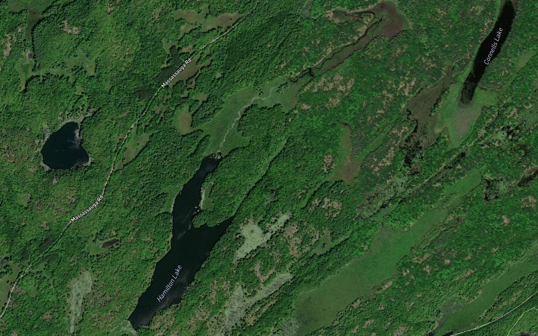 Satellite map of the Hamilton Lake