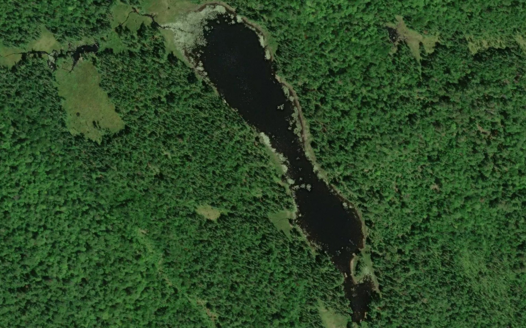Satellite map of the Lac de la Perruche