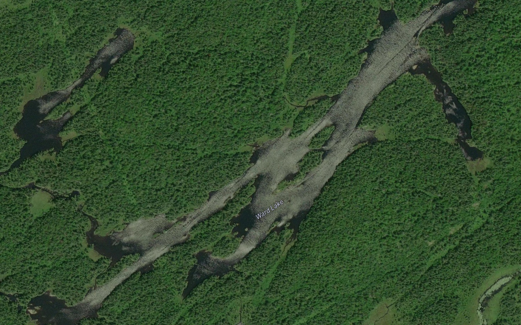 Satellite map of the Ward Lake