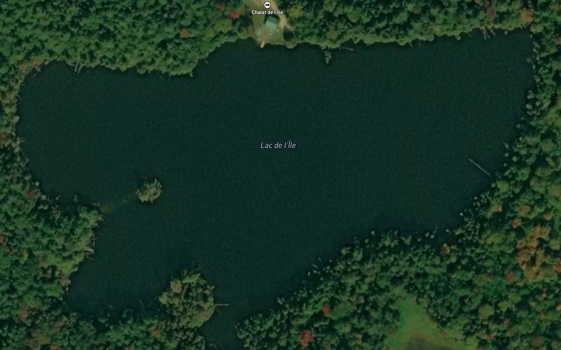 Satellite map of the Lac de l'Ile