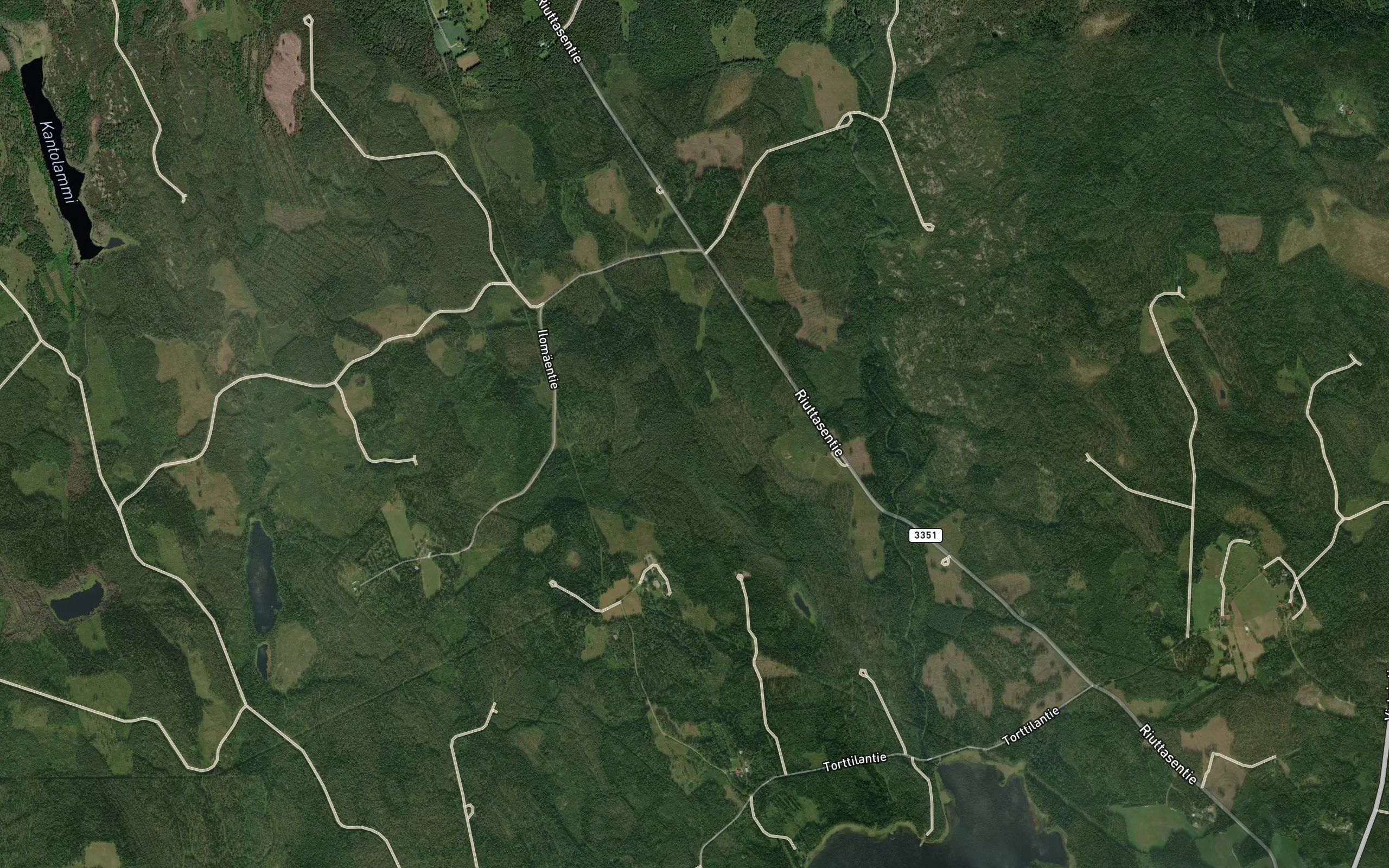 Pirjonoja