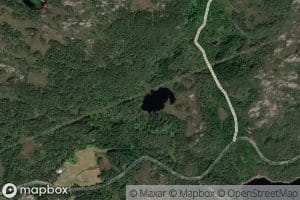 Kringletjorna
