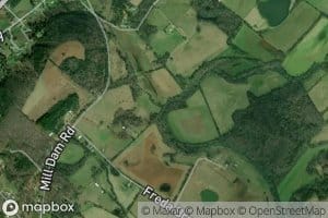 Cold Spring Cove Branch