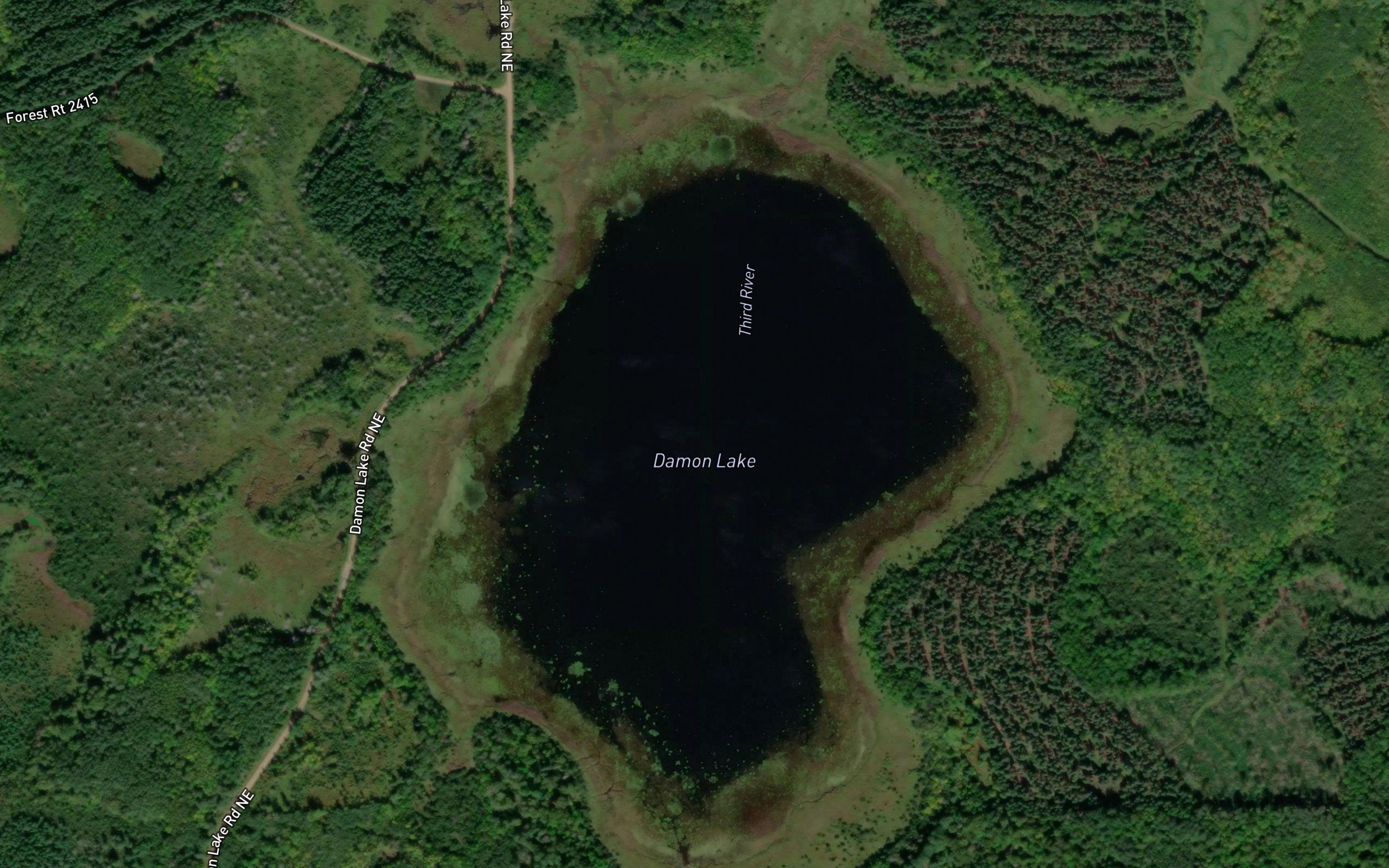 Damon Lake