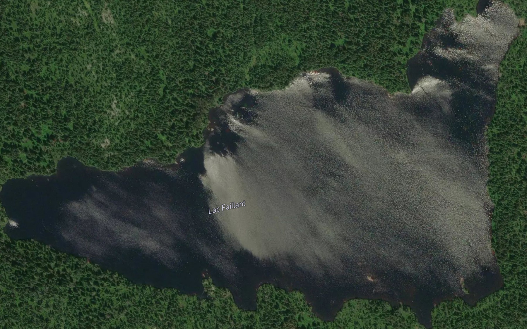 Satellite map of the Lac Faillant