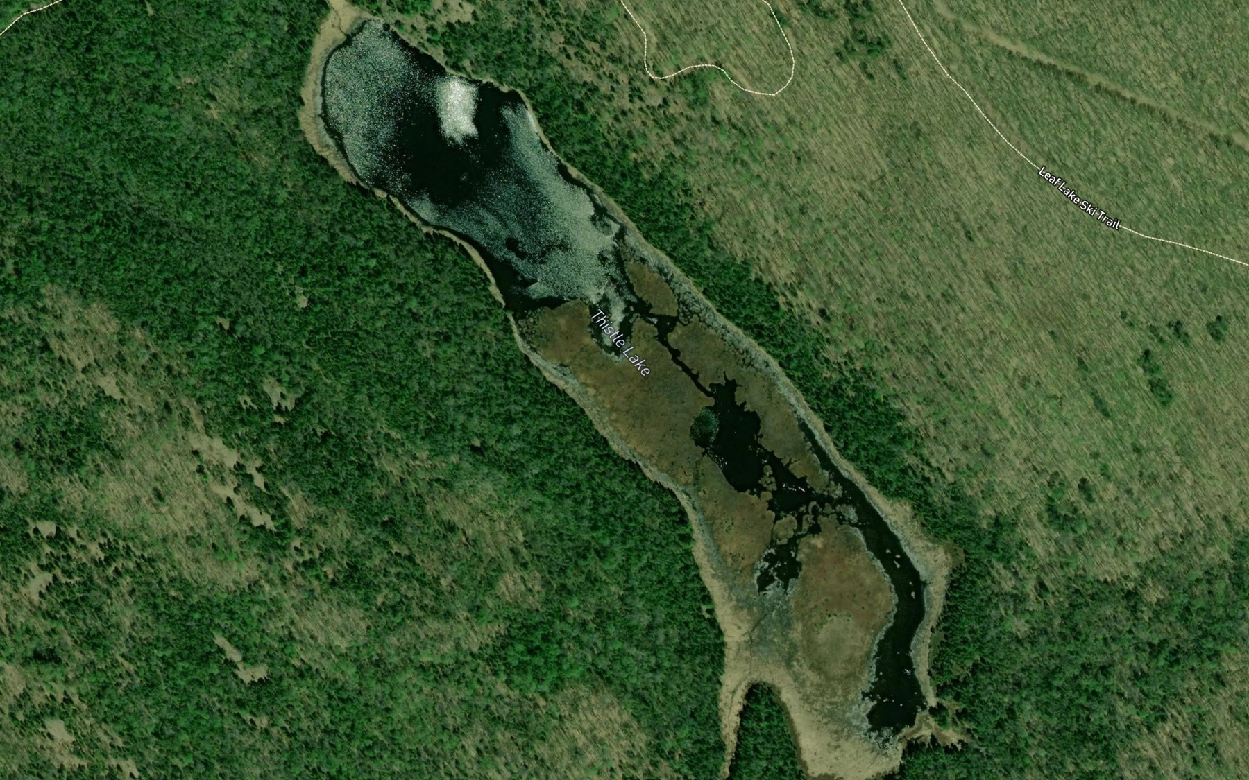 Satellite map of the Thistle Lake