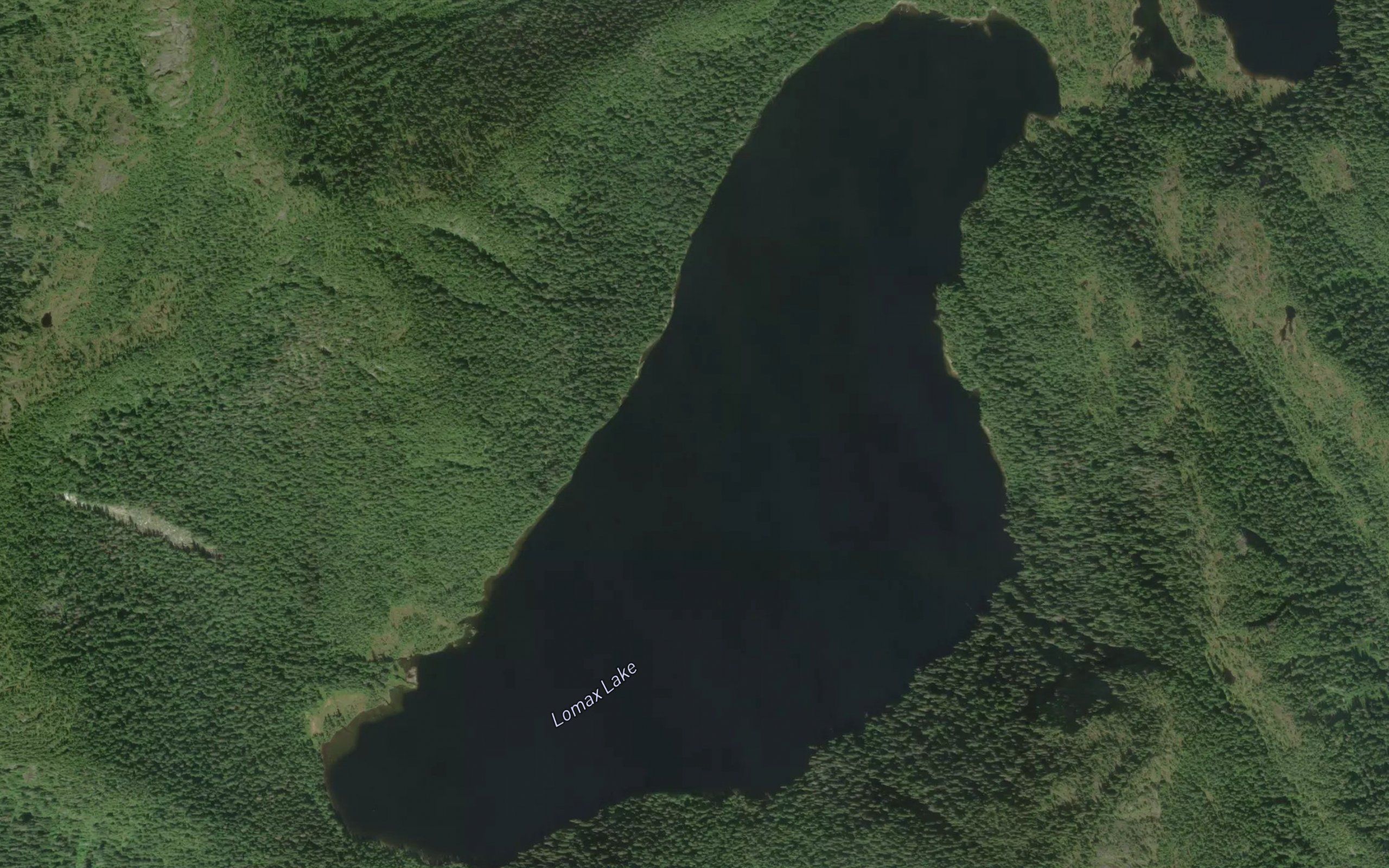 Lomax Lake