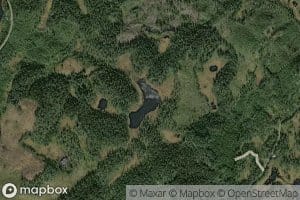 Skjekjetjenn