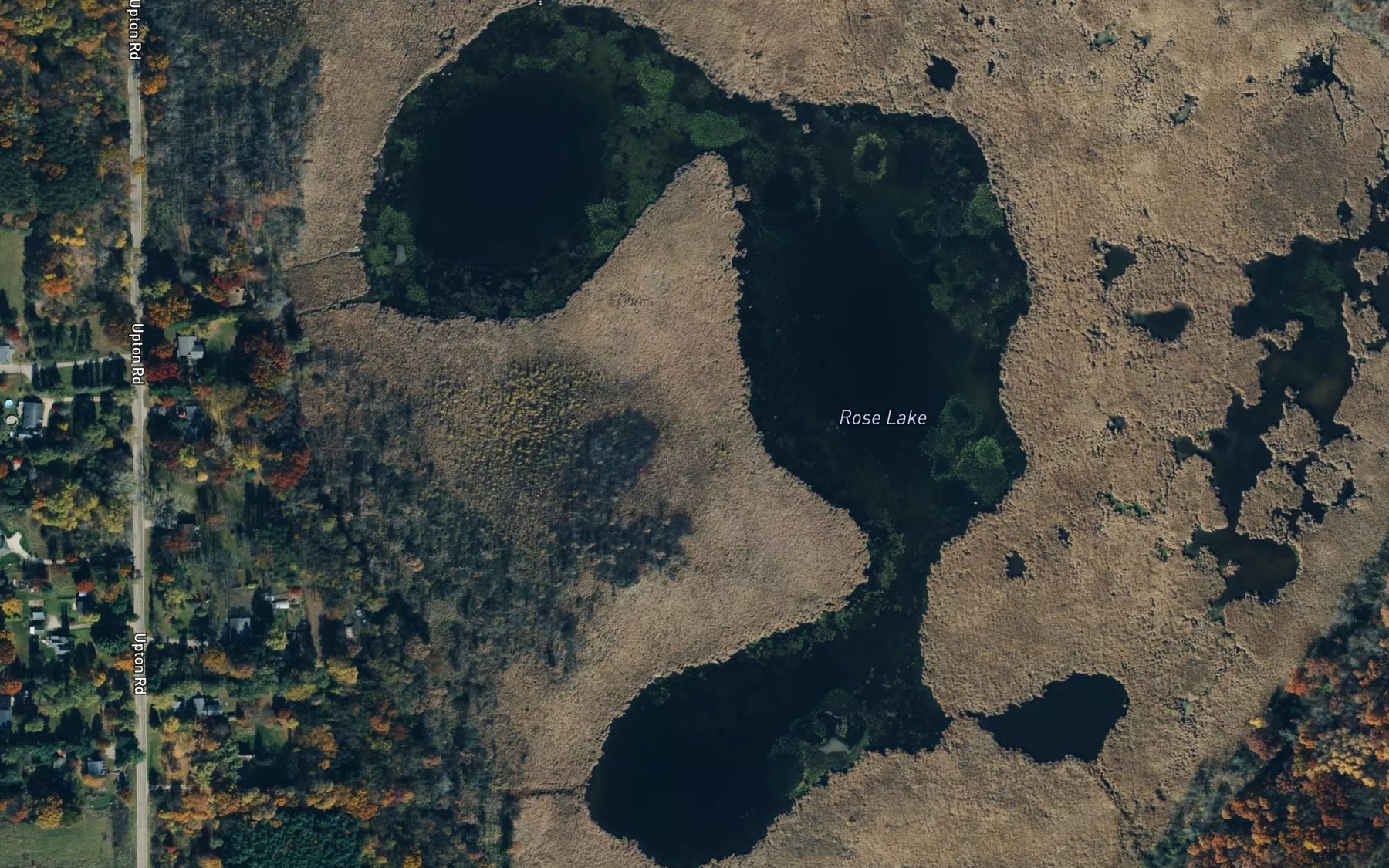 Satellite map of the Rose Lake