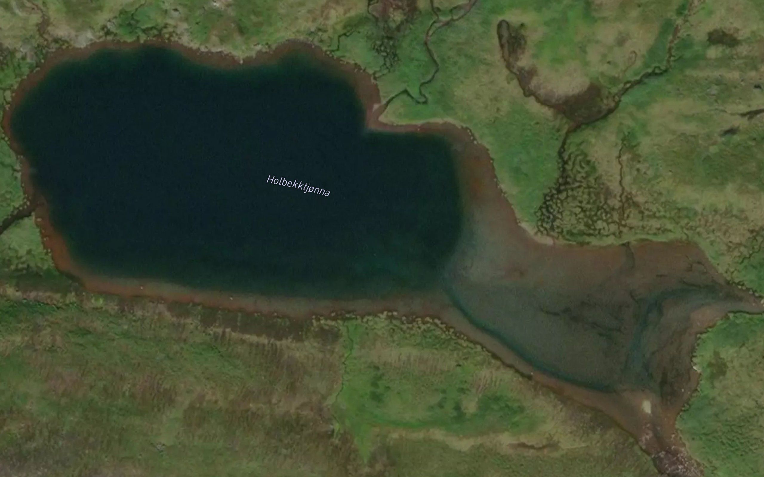 Holbekktjorna