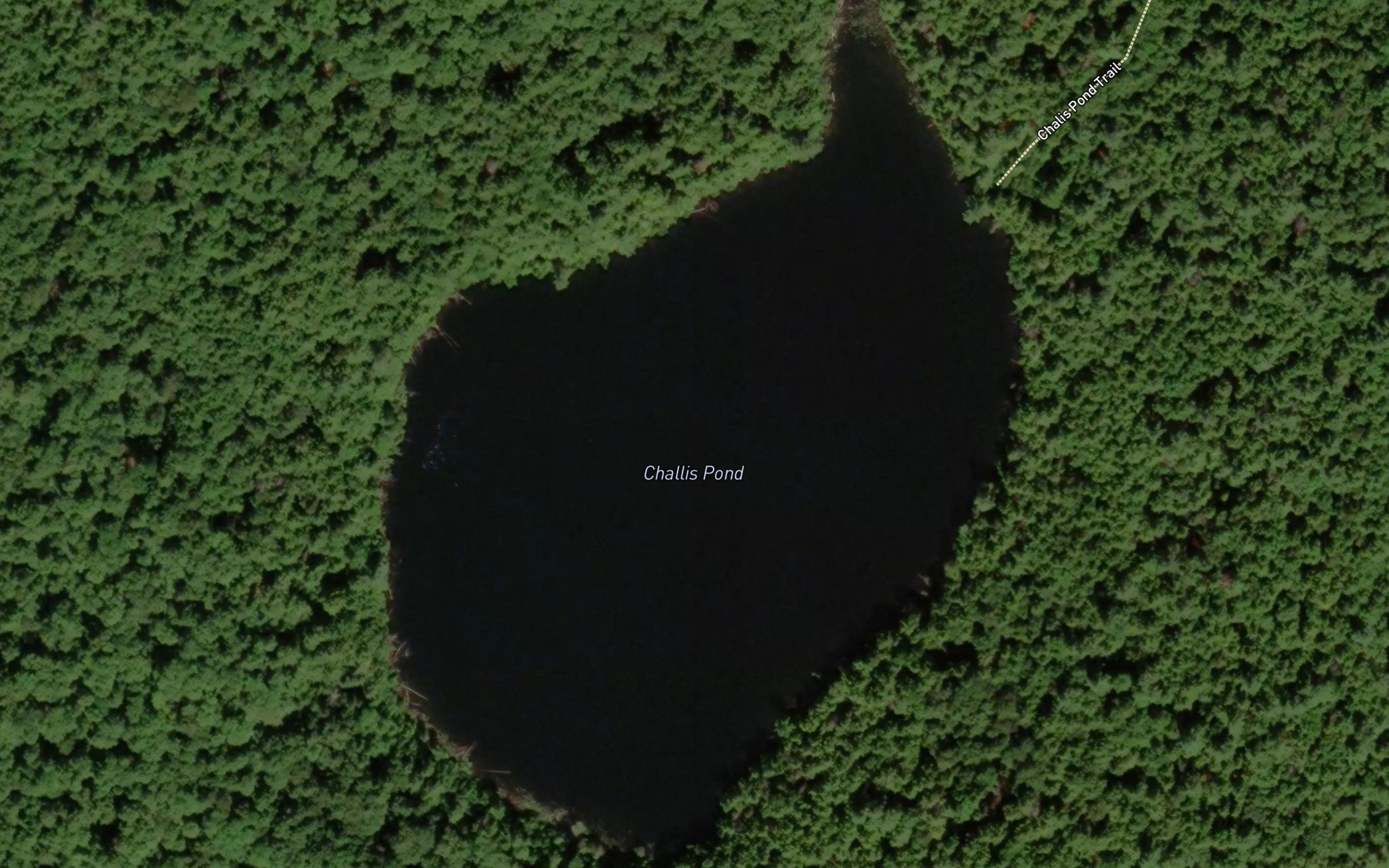 Challis Pond