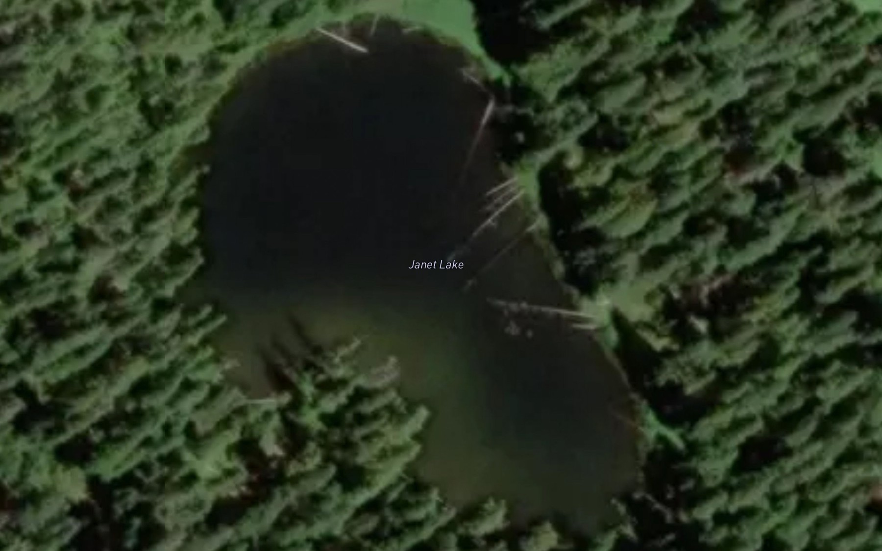 Satellite map of the Janet Lake