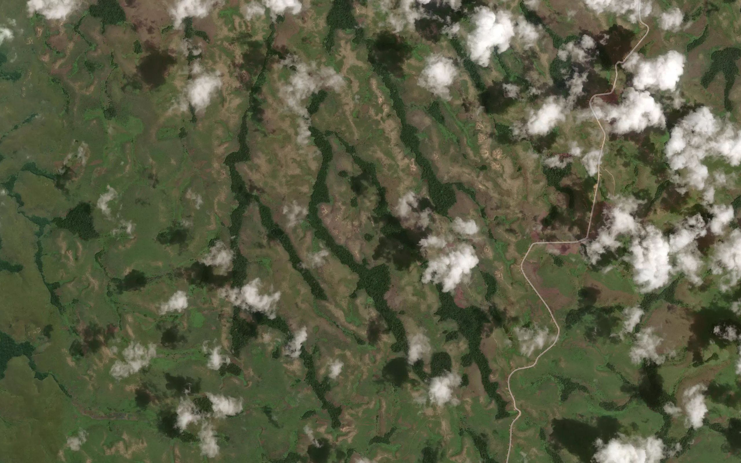 Sangui