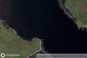Salmon Bay
