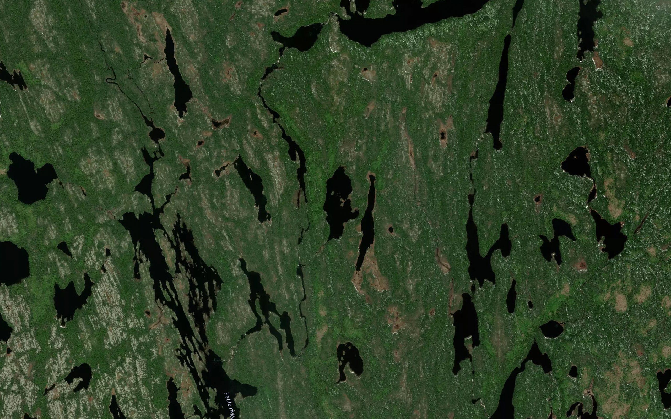 Lac des Troncs d'Arbres