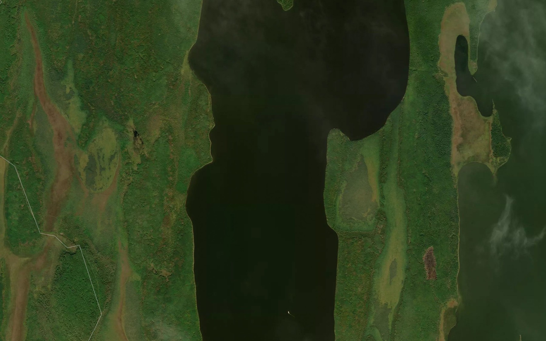 Satellite map of the Lake St. David