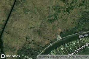 Bayou Dauphine