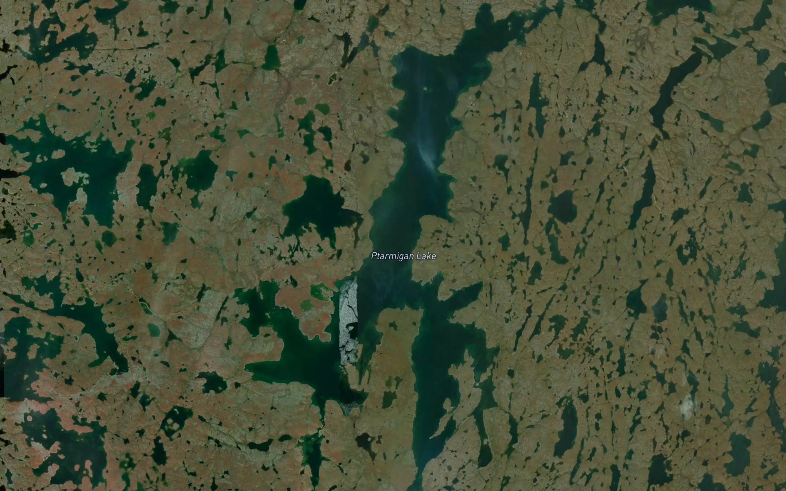 Ptarmigan Lake