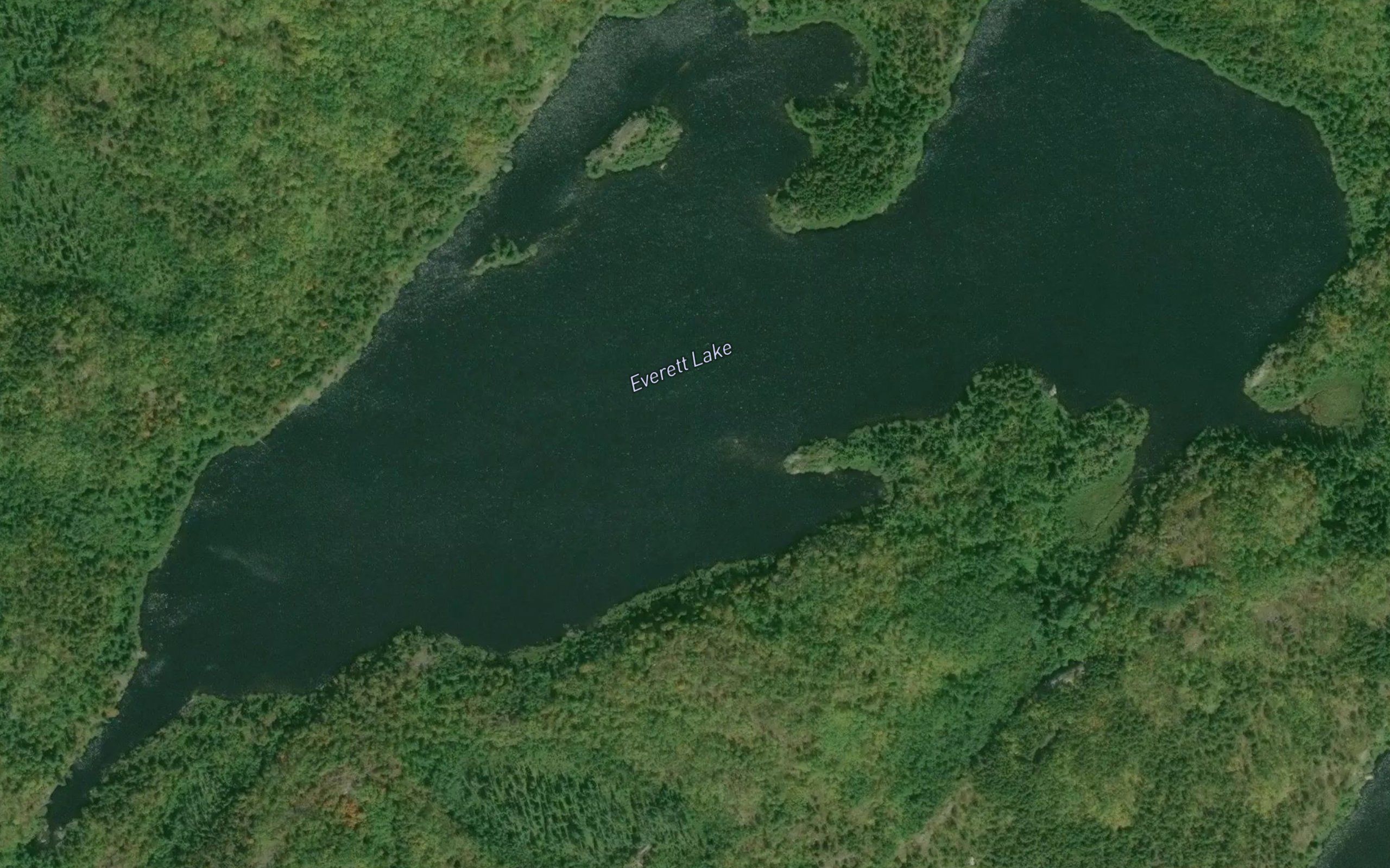 Everett Lake