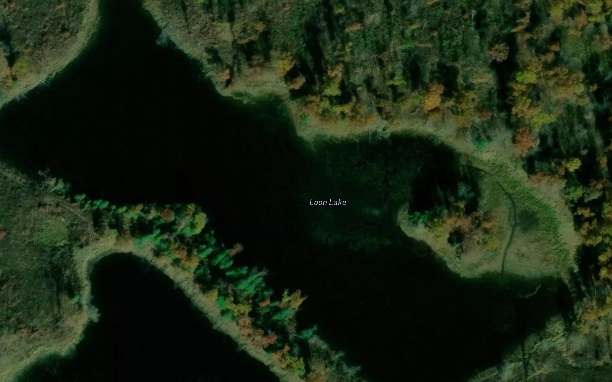 Loon Lake