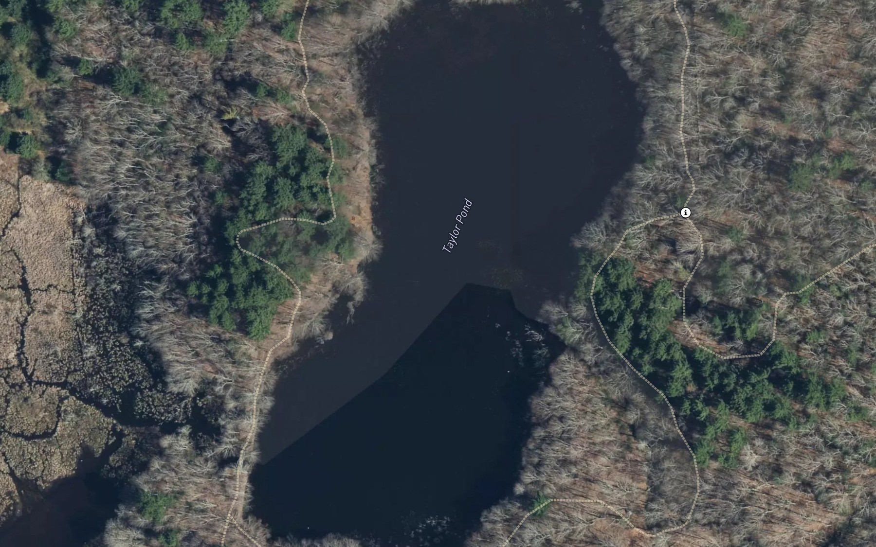 Satellite map of the Taylor Pond