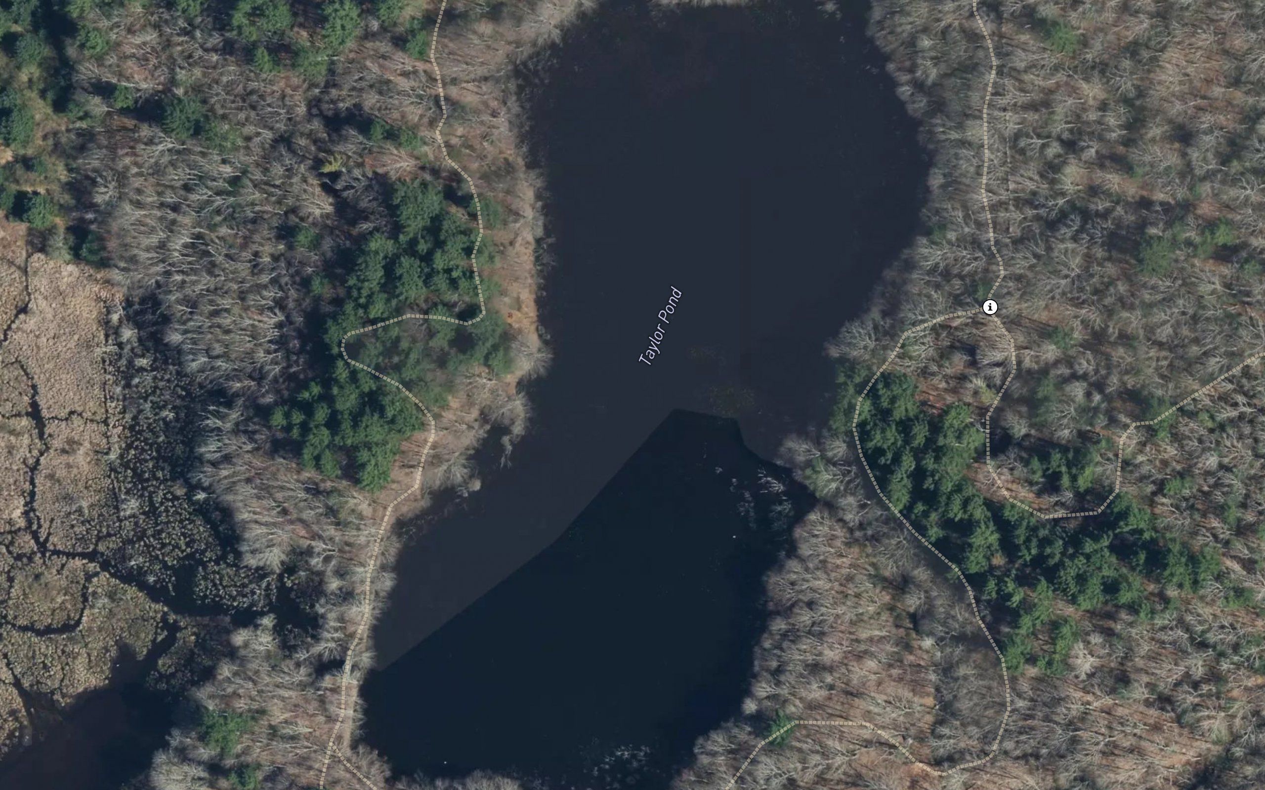 Taylor Pond