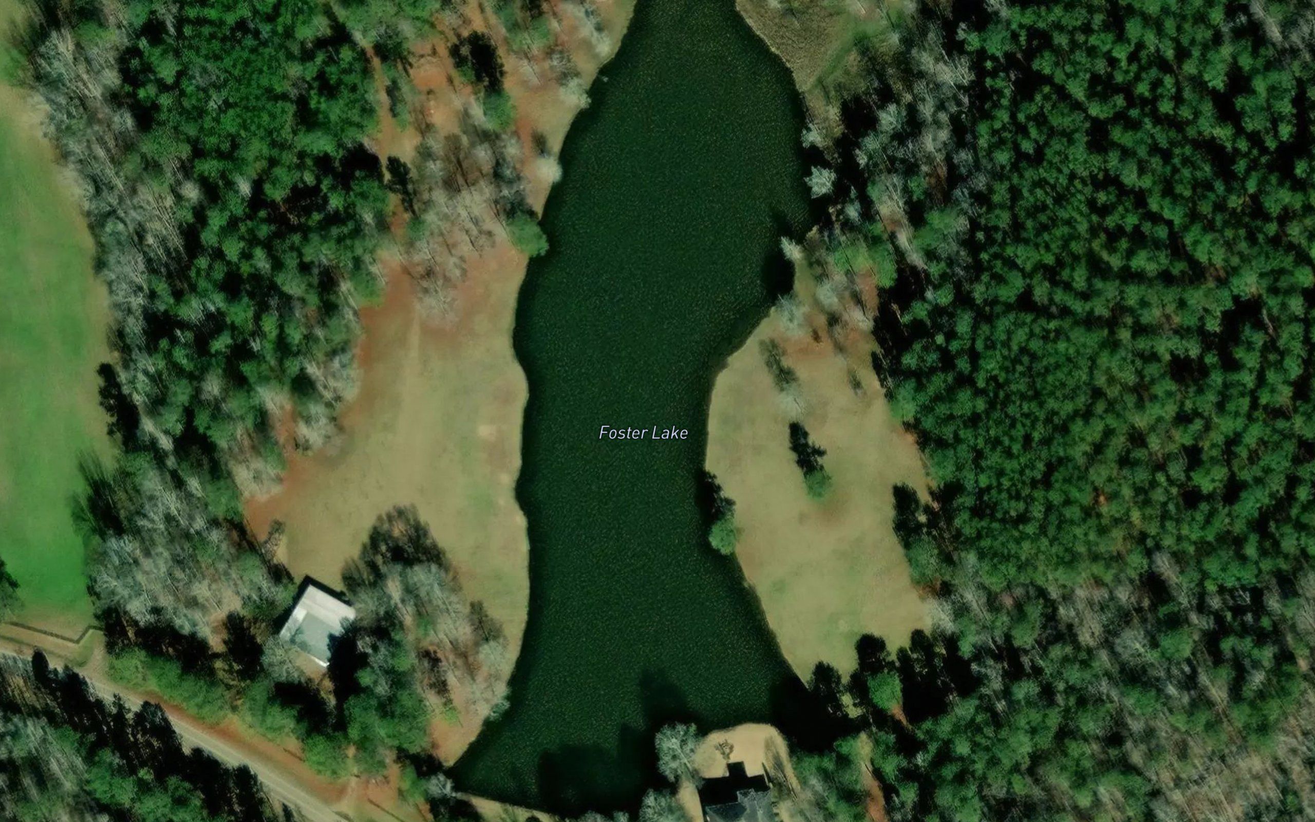 Foster Lake