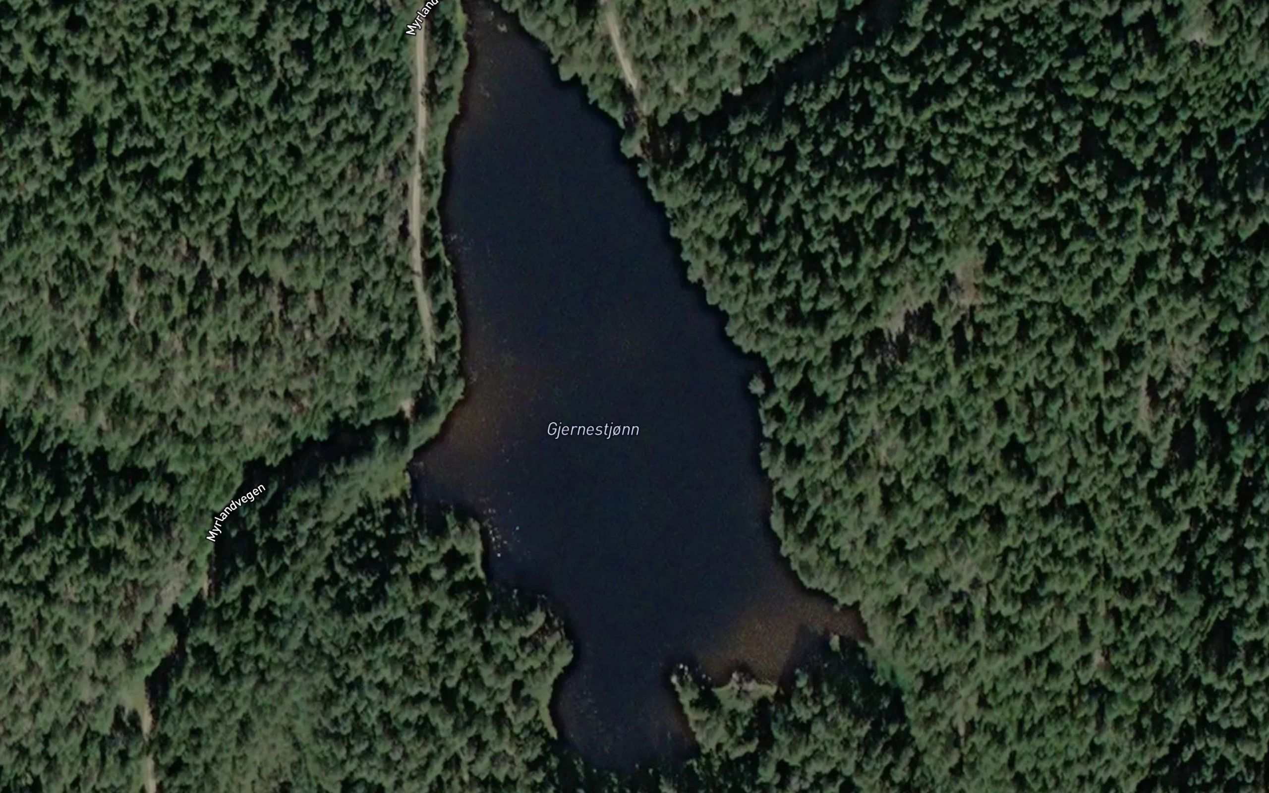 Gjernestjorna