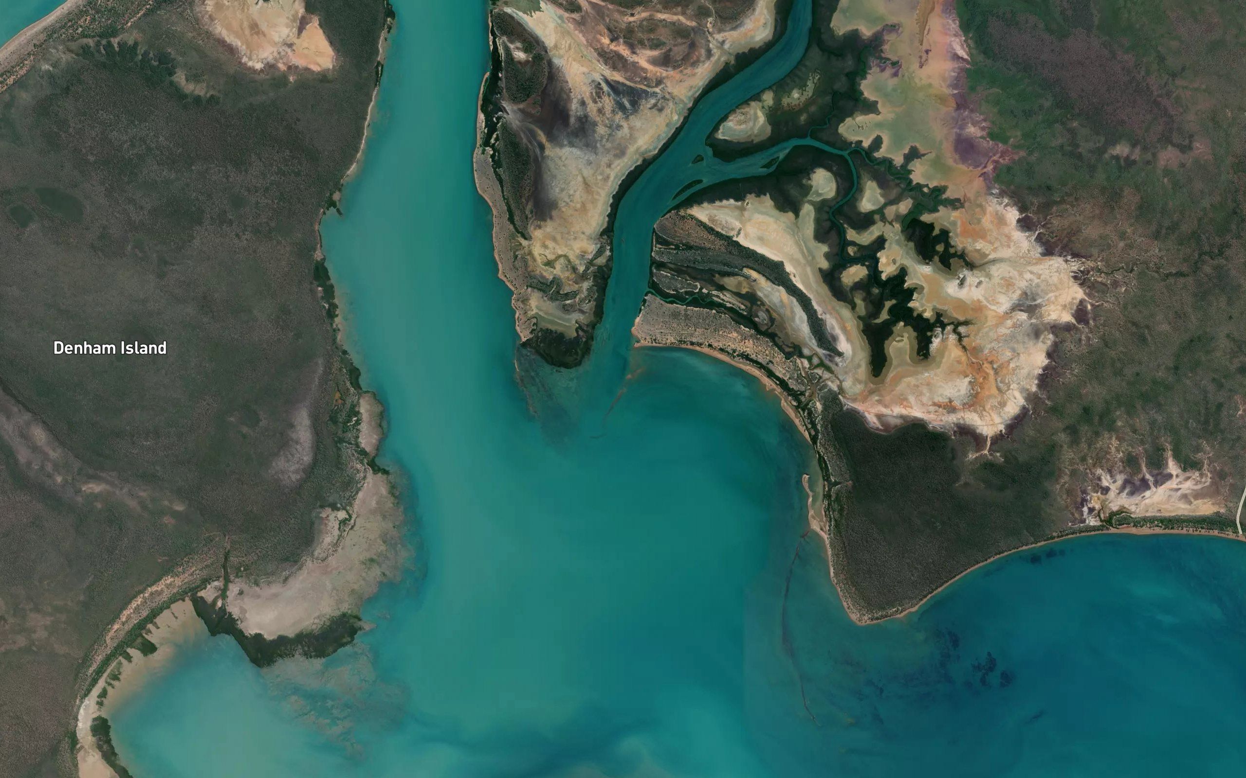 Dugong River
